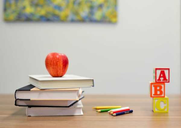 Psicopedagogia Institucional e Clínica